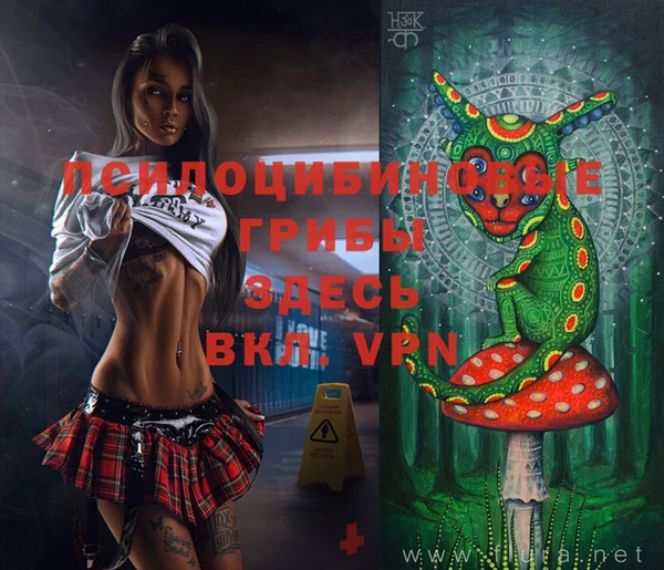 прущая мука Бронницы