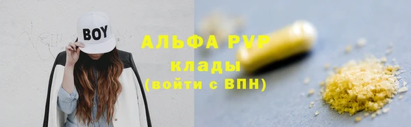 стаф Волоколамск