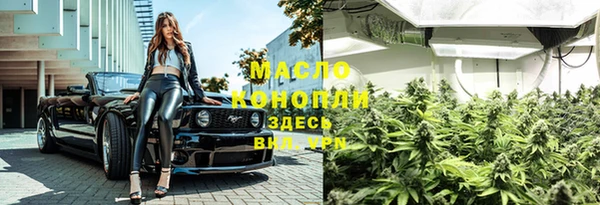 соль ск Бородино