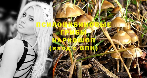 прущая мука Бронницы