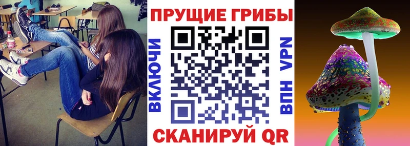 продажа наркотиков  kraken   Галлюциногенные грибы ЛСД  Новоржев 