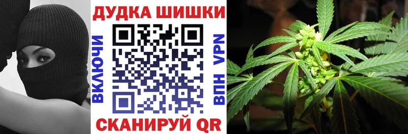 mega как войти  Новоржев  Каннабис VHQ 